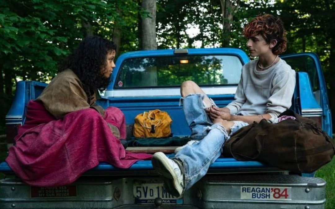 El Director Luca Guadagnino Regresa con su Nuevo Thriller Titulado ‘Bones and All’ Protagonizado por Timothée Chalamet (Trailer)