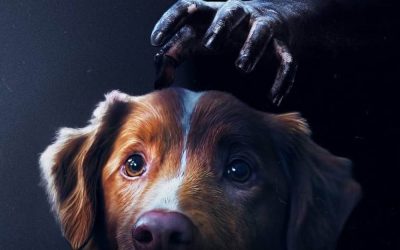 ‘Good Boy’: El Mejor Amigo del Hombre