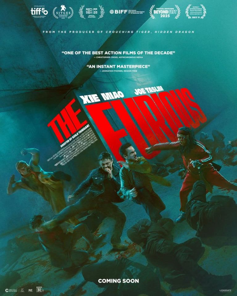 the furious poster 1